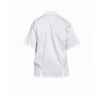 17A110 veste cuisinier coton manches courtes pbv