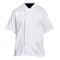 17A110 veste cuisinier coton manches courtes pbv