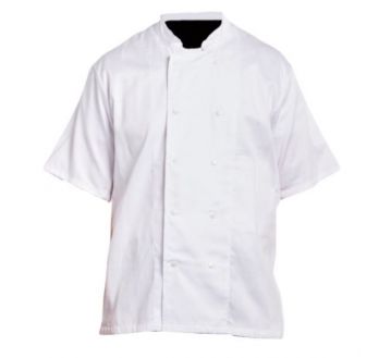 17A110 veste cuisinier coton manches courtes pbv