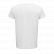 TEE-SHIRT COTON BIO HOMME CRUSADER 03582 - SOL'S
