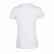 TEE-SHIRT REGENT FEMME 01825 COL ROND - SOL'S