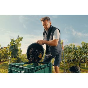 Gilet de travail Dassy - 24YALA gris 2