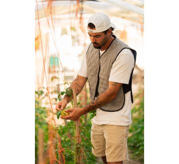 GILET RAFRAICHISSANTE GRIS EV05 G-HEAT