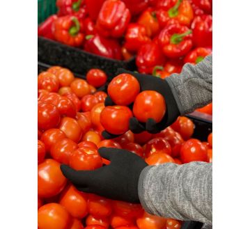 GANTS TACTILES HOMME NOIR ANTI-VIRUS ANTI-BACTERIES HBT811 - HOFLER