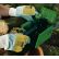 GANTS BUCHERON ANTI-COUPURE CLASSE2 MT140 - JUBA